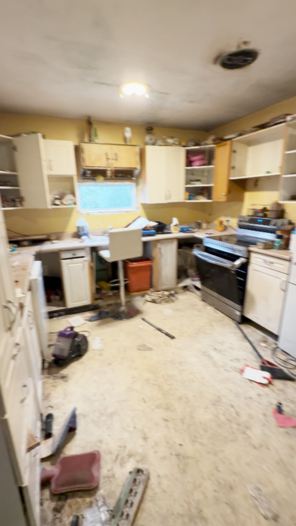 full house renovation