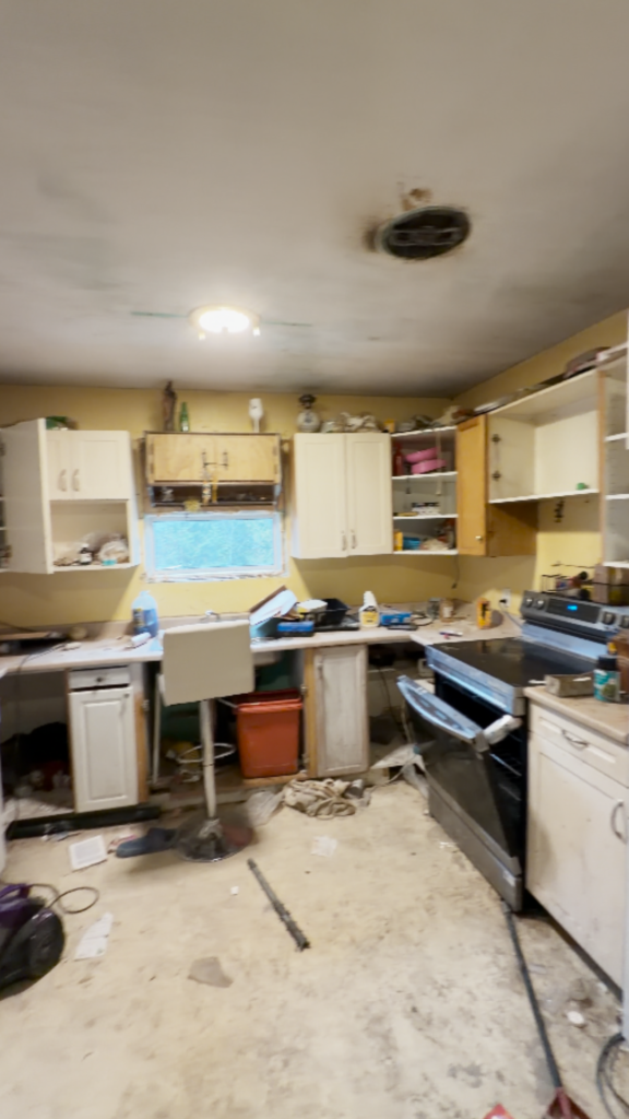 full house renovation