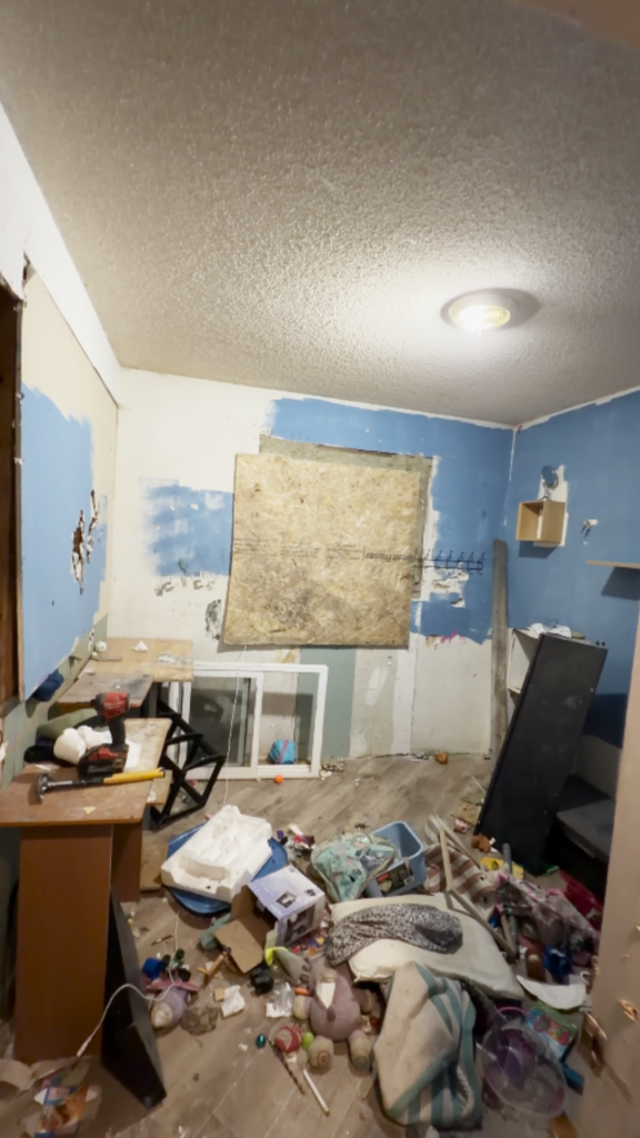 full house renovation