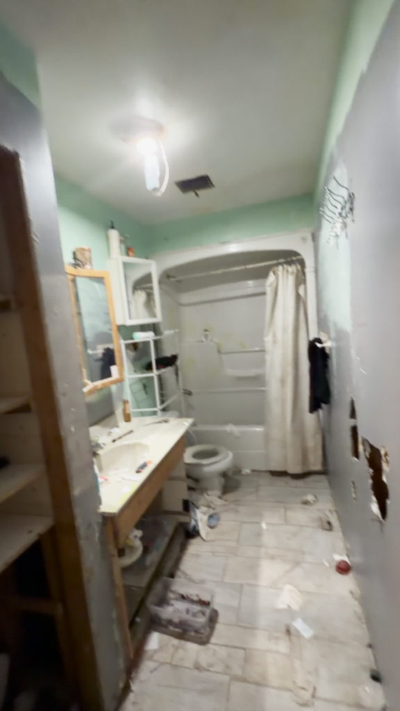 full house renovation