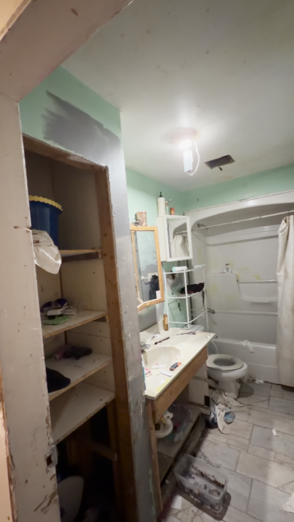 full house renovation